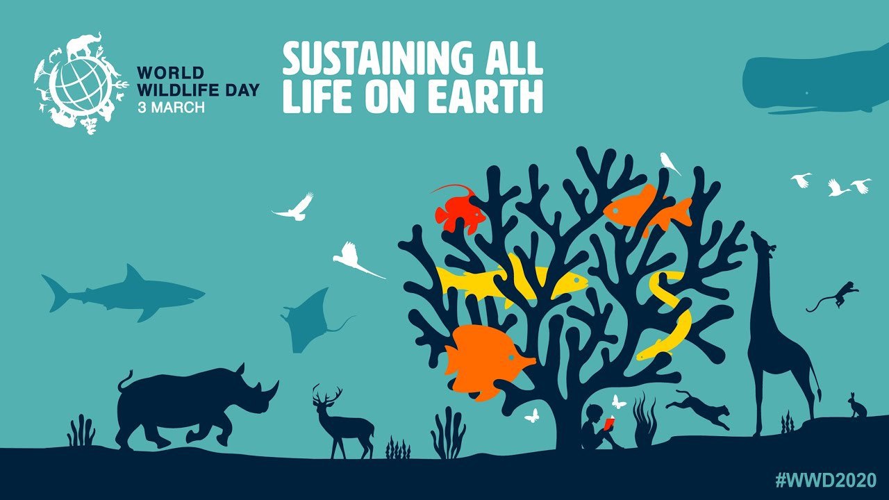 World Wildlife Day